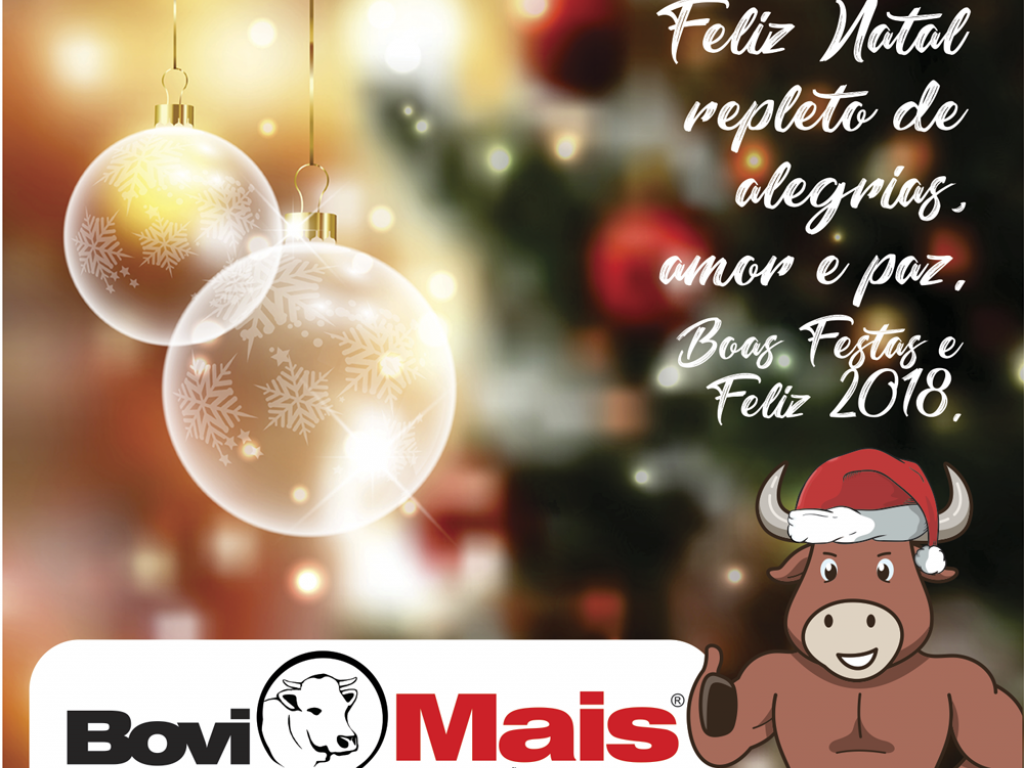Boas Festas