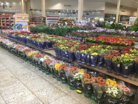 Presente para as mães é no Copacol Supermercados 