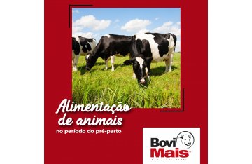 Alimentao de animais no perodo do pr-parto