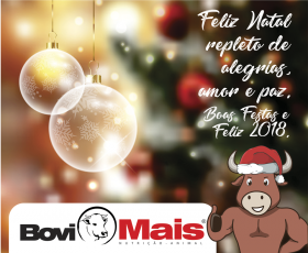 Boas Festas