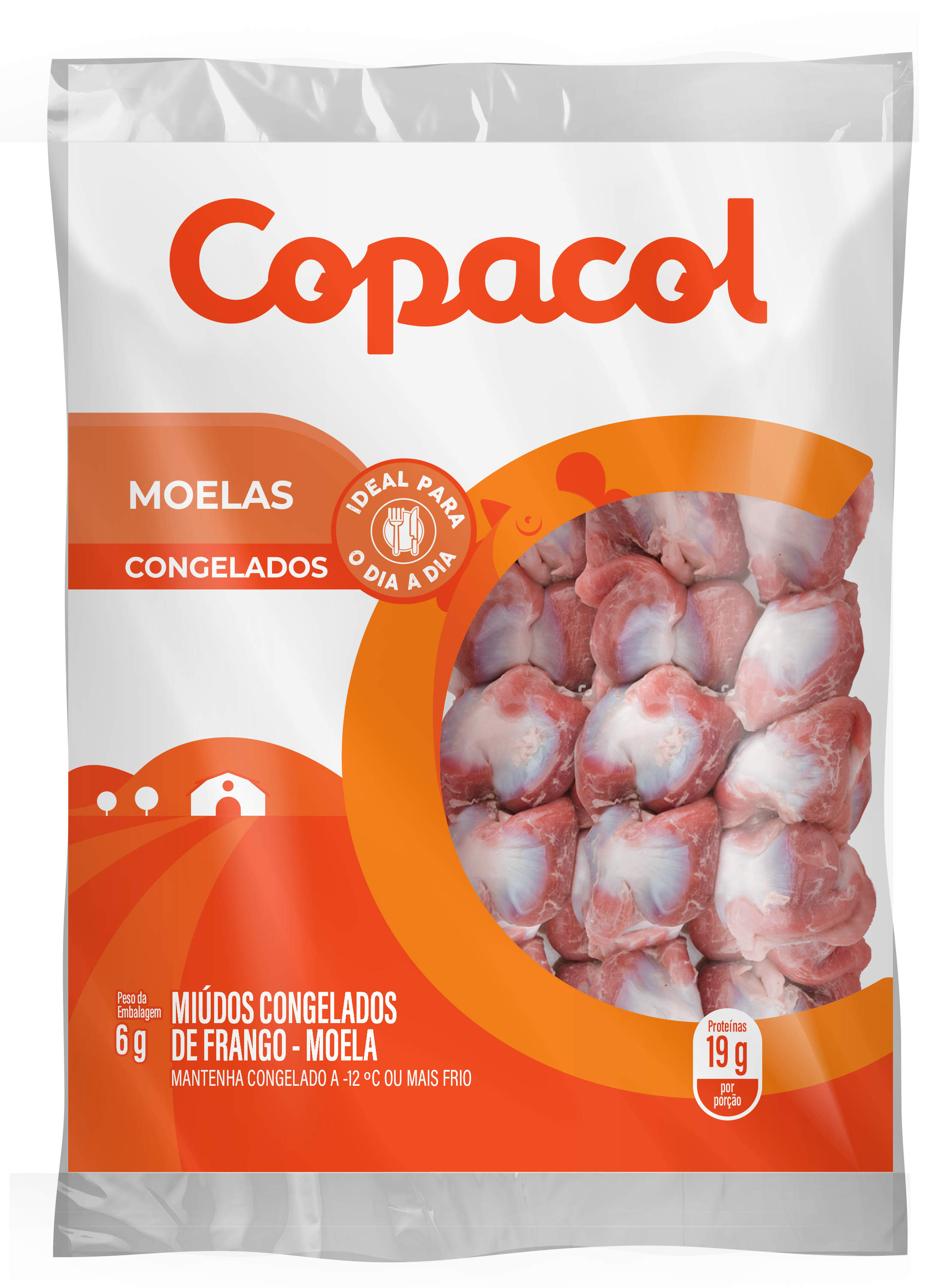 Moela Congelada
