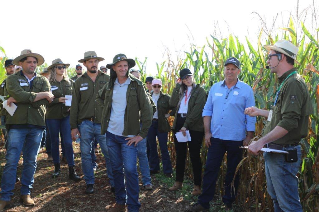 Produtores do Experts do Agro recebem informações para a próxima safra de milho