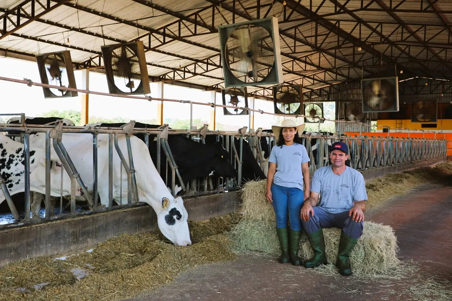 Bovinocultura de Leite 01