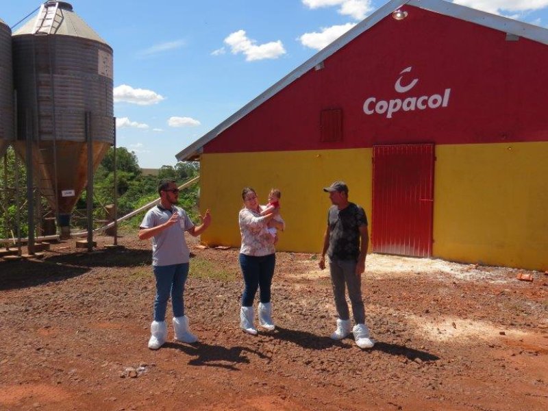 Cooperativa apresenta os melhores da semana na avicultura