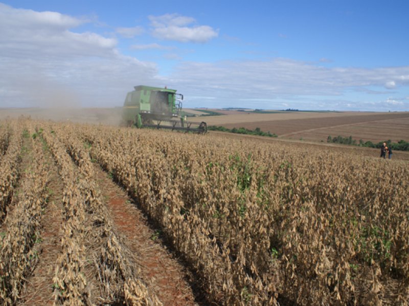 Copacol estima plantar 115 mil hectares de soja na safra 2011/2012