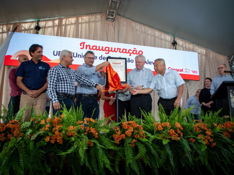 Com tecnologia inovadora, Copacol dobra a produção de alevinos com menos água