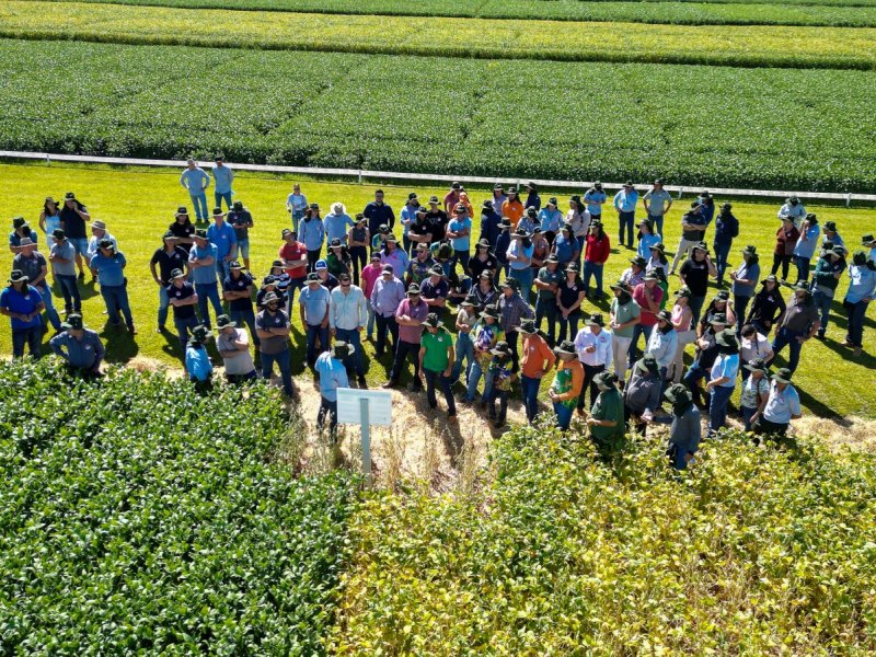 Ganho de produtividade pela pesquisa de cultivares é destaque do 35º Dia de Campo Copacol