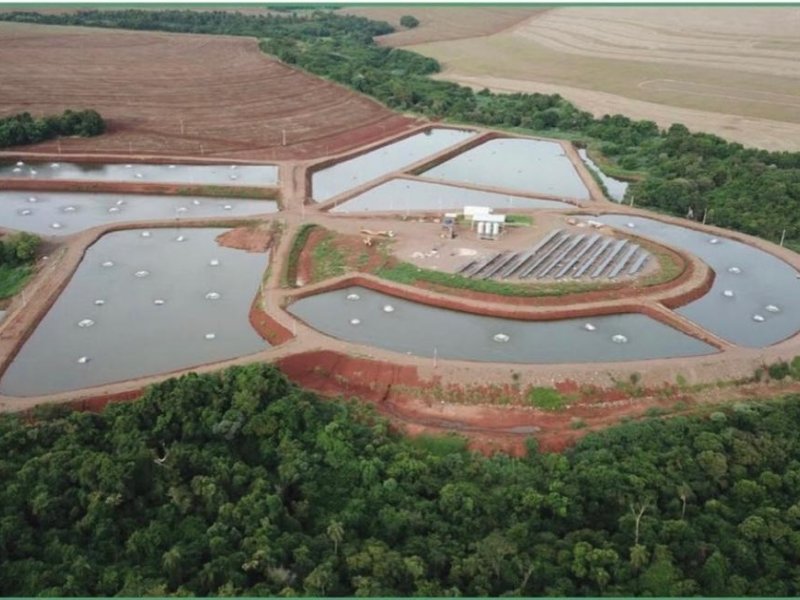 Piscicultores devem ficar alertas às baixas temperaturas
