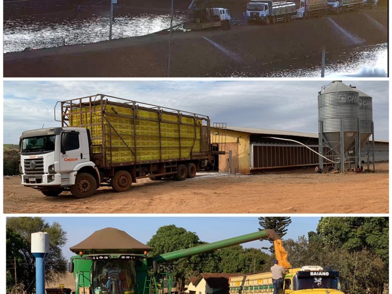 O Agro que não para, sempre em movimento