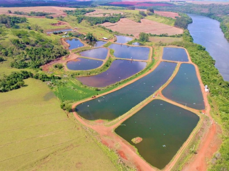 Copacol abre inscrições para novos piscicultores