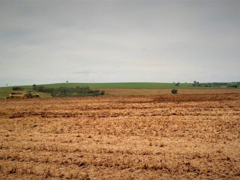 Copacol lança campanha para venda de insumos para safra 2021/2022 