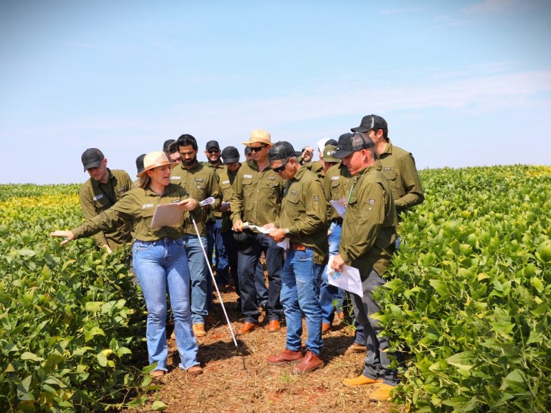 Experts do Agro: cooperados realizam tour técnico no CPA
