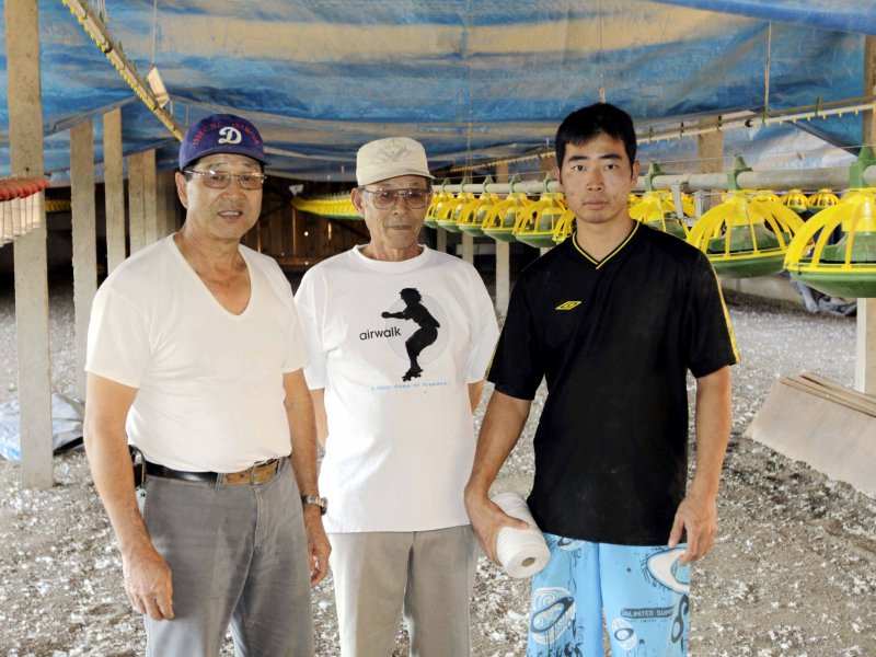 Avicultor alcança lote recorde de 82 centavos 