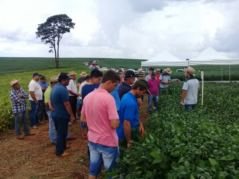 Unidades de Jesuítas e Goioerê realizam Dia de Campo