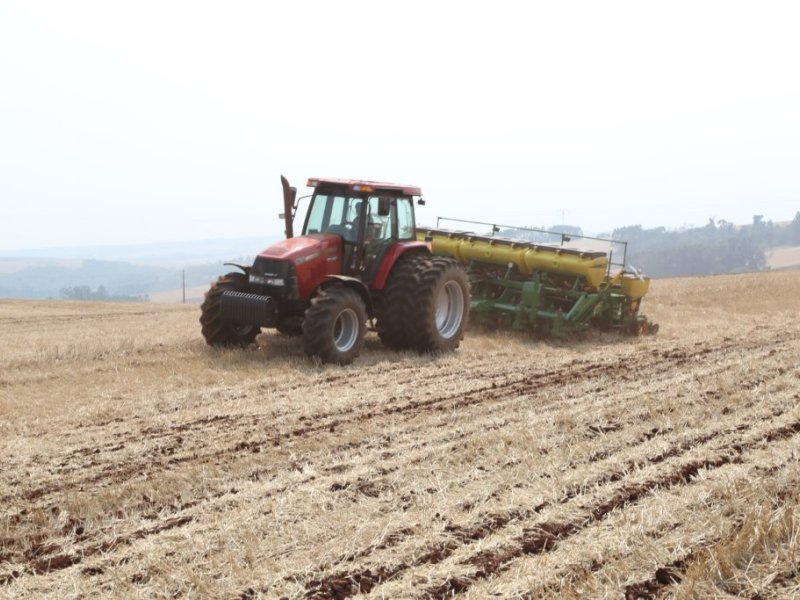 Semeadura da soja avança e chega a 62% da área a ser cultivada