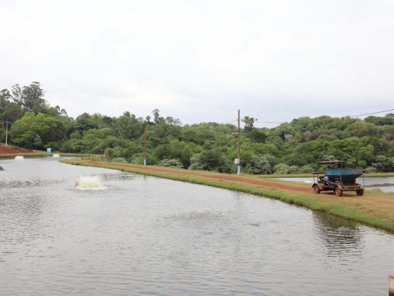 Piscicultor deve ficar alerta às altas temperaturas