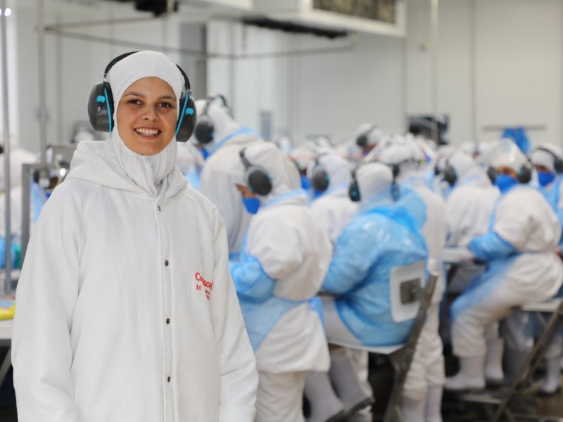 Ano Novo com emprego e crescimento profissional