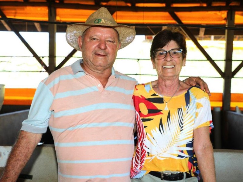 Cooperado Copacol recebe recorde de R$ 62,20 por suíno