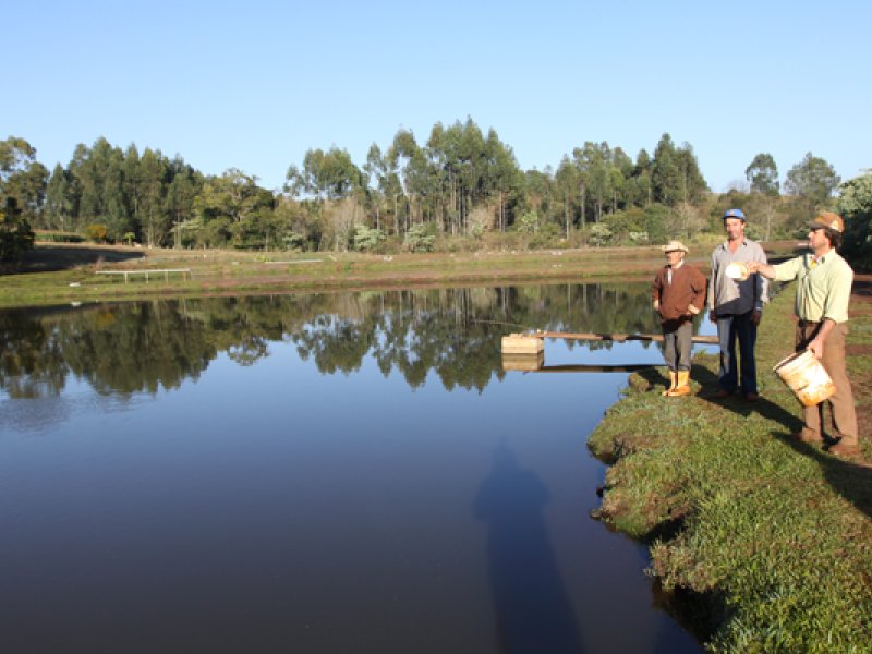 Evolução garante melhor desempenho na piscicultura 