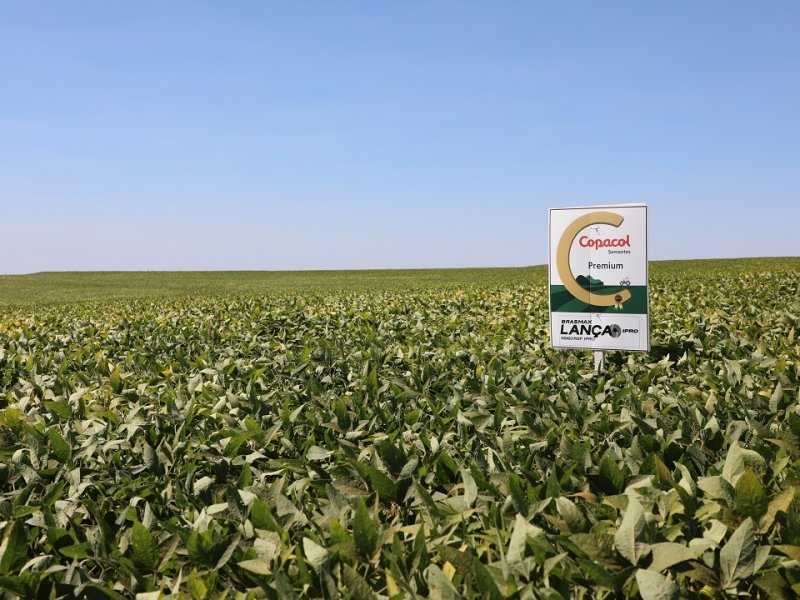 Copacol recebe selo de excelência em tratamento de sementes