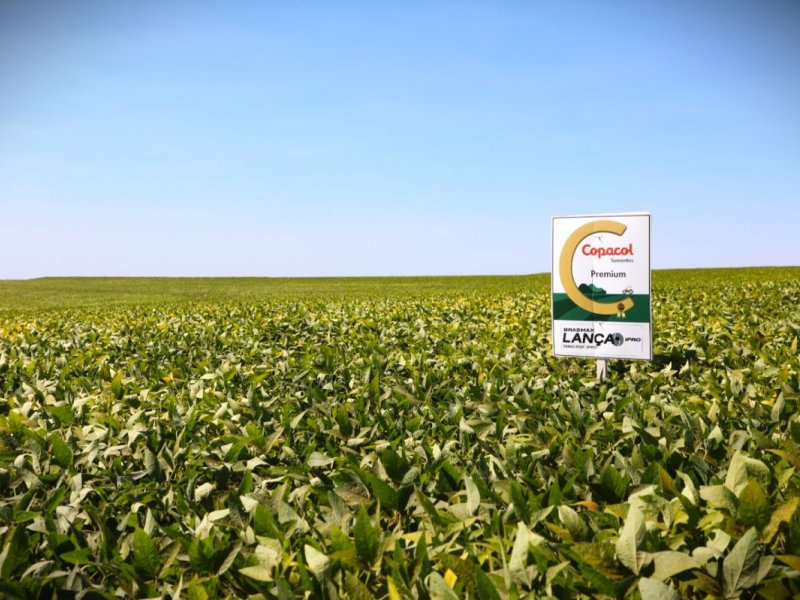 Copacol recebe selo de excelência em tratamento de sementes