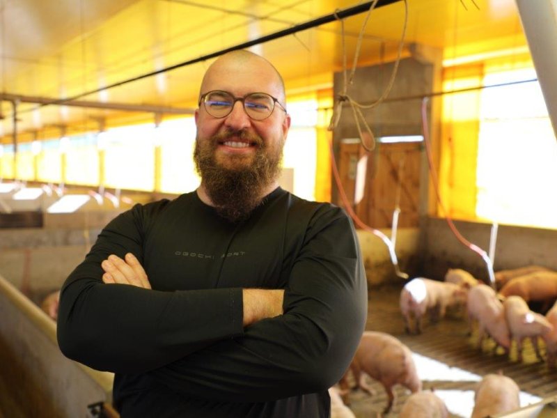 Suinocultura da Copacol alcança resultados históricos