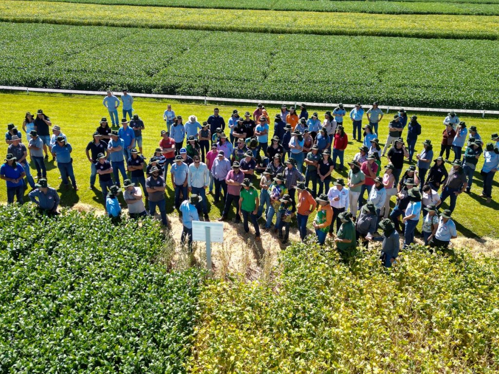 Ganho de produtividade pela pesquisa de cultivares é destaque do 35º Dia de Campo Copacol