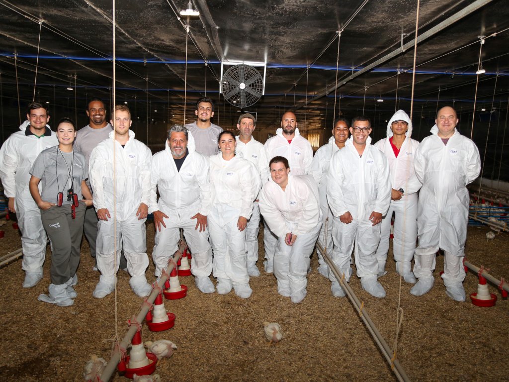 Cooperados reforçam técnicas de manejo de verão no CTA Copacol