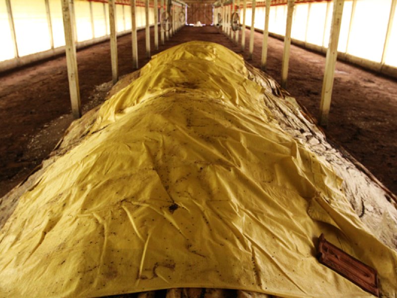 Novo sistema de tratamento de cama para os aviários