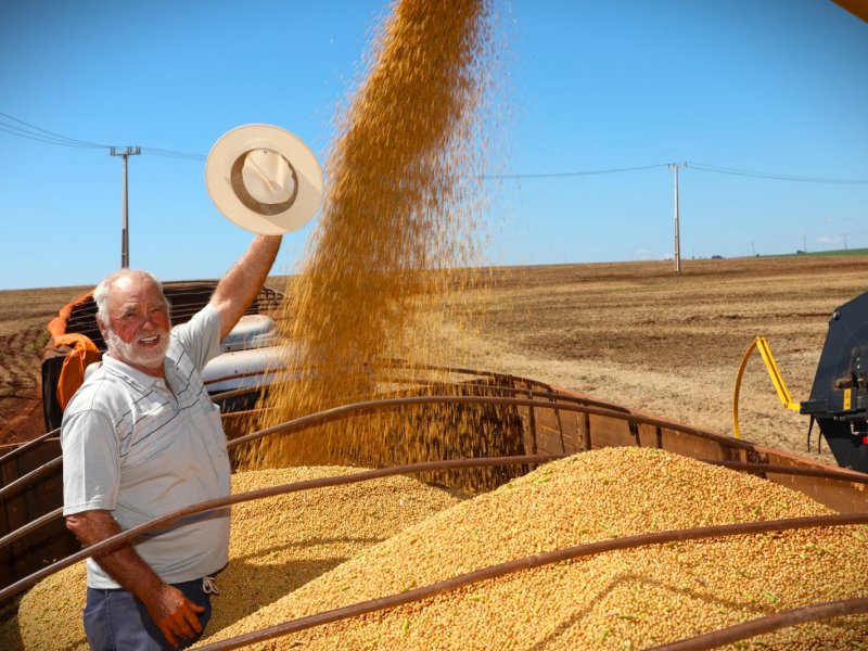 Cooperados comemoram boas produtividades na safra de soja